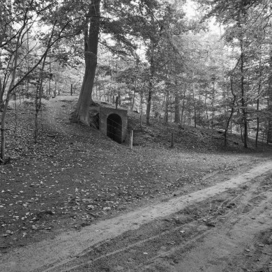 Rijksdienst voor het Cultureel Erfgoed: Wal, A.J. van der