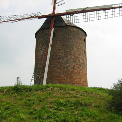 Rijksdienst voor het Cultureel Erfgoed: Terpstra, Frank