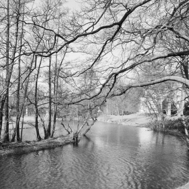 Rijksdienst voor het Cultureel Erfgoed: Wal, A.J. van der