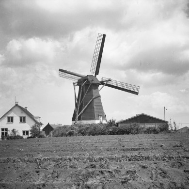 Rijksdienst voor het Cultureel Erfgoed: Korpershoek, W.A.