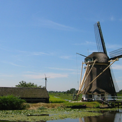 Rijksdienst voor het Cultureel Erfgoed: Terpstra, Frank