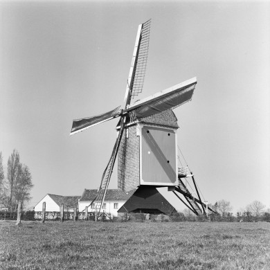 Rijksdienst voor het Cultureel Erfgoed: Galen, P. (Paul) van