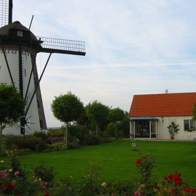 Rijksdienst voor het Cultureel Erfgoed: Terpstra, Frank
