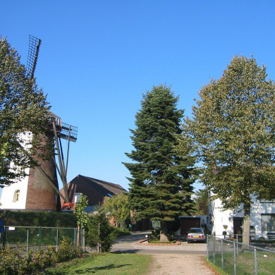 Rijksdienst voor het Cultureel Erfgoed: Terpstra, Frank