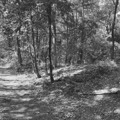 Rijksdienst voor het Cultureel Erfgoed: Galen, P. (Paul) van