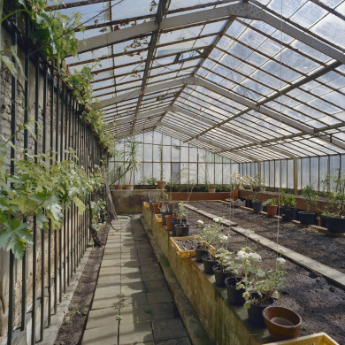 Rijksdienst voor het Cultureel Erfgoed: Heins, IJ.Th.