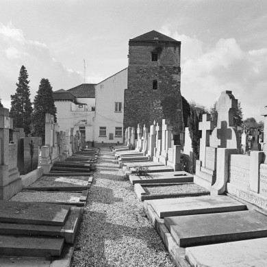 Rijksdienst voor het Cultureel Erfgoed: Tangel, L.M.