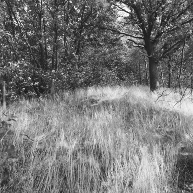 Rijksdienst voor het Cultureel Erfgoed: Galen, P. (Paul) van