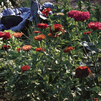 Rijksdienst voor het Cultureel Erfgoed: Heuff M. (Marijke)
