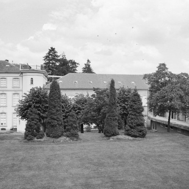 Rijksdienst voor het Cultureel Erfgoed: Tangel, L.M.