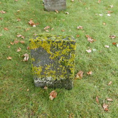 Rijksdienst voor het Cultureel Erfgoed: Dolfin, M. en Erkelens, M.