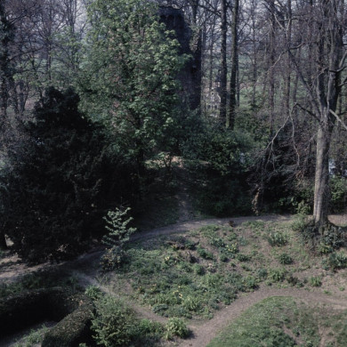 Rijksdienst voor het Cultureel Erfgoed