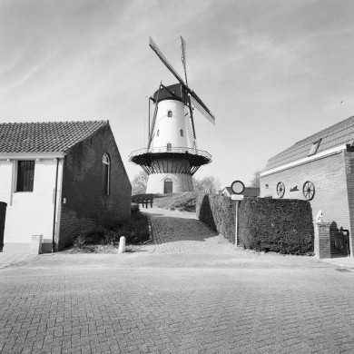 Rijksdienst voor het Cultureel Erfgoed: Koning, J.P. de