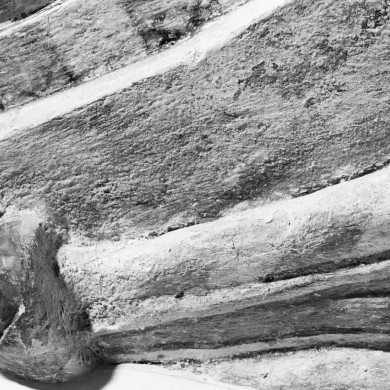 Rijksdienst voor het Cultureel Erfgoed: Tangel, L.M.