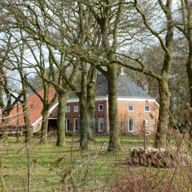 Rijksdienst voor het Cultureel Erfgoed: Brinkkemper, O. (Otto)