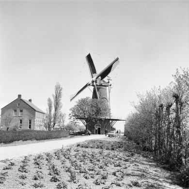 Rijksdienst voor het Cultureel Erfgoed: Korpershoek, W.A.