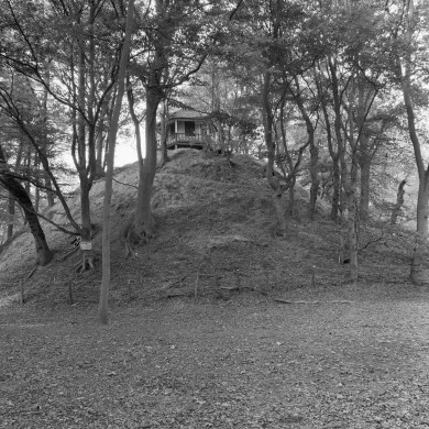 Rijksdienst voor het Cultureel Erfgoed: Wal, A.J. van der