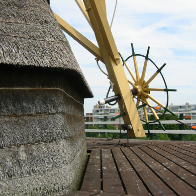 Rijksdienst voor het Cultureel Erfgoed: Terpstra, Frank