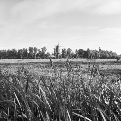 Rijksdienst voor het Cultureel Erfgoed: Galen, P. (Paul) van