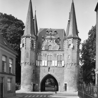 Rijksdienst voor het Cultureel Erfgoed: Delemarre, G.Th.