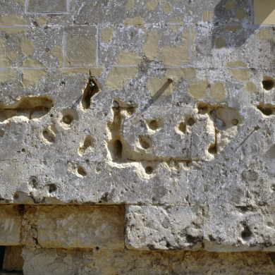 Rijksdienst voor het Cultureel Erfgoed: Tangel, L.M.