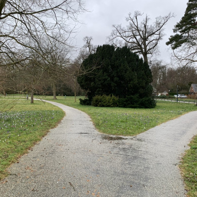 Rijksdienst voor het Cultureel Erfgoed: Bogers, Guido