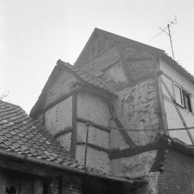 Rijksdienst voor het Cultureel Erfgoed: Delemarre, G.Th.