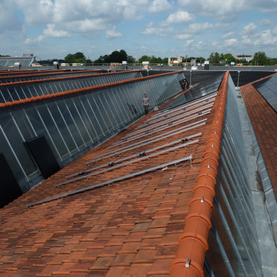 Rijksdienst voor het Cultureel Erfgoed: Wal, Henry van der
