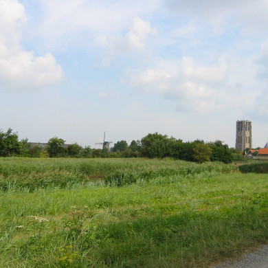Rijksdienst voor het Cultureel Erfgoed: Terpstra, Frank
