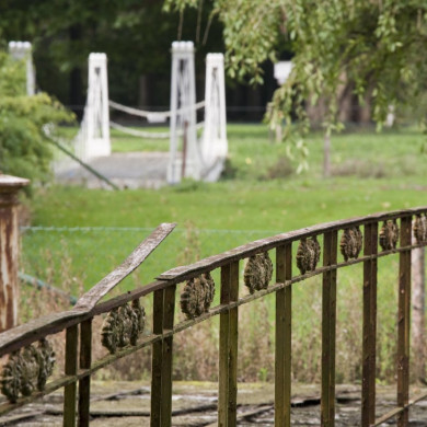 Rijksdienst voor het Cultureel Erfgoed: Booms, C.S. (Chris)