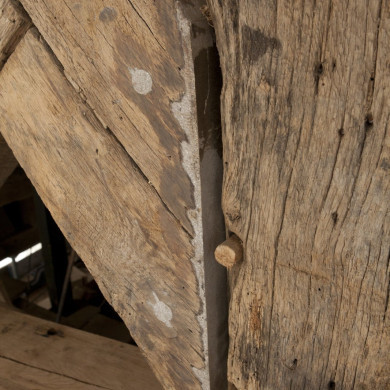 Rijksdienst voor het Cultureel Erfgoed: Roderburg, K. (Kris)