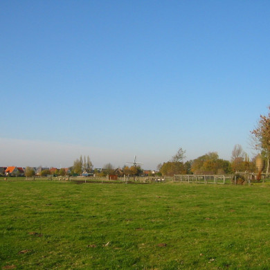 Rijksdienst voor het Cultureel Erfgoed: Terpstra, Frank