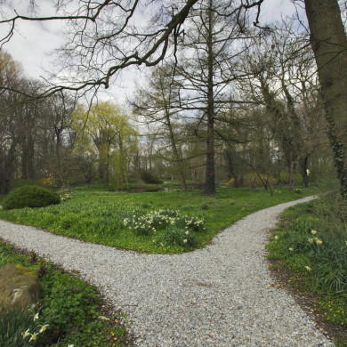 Rijksdienst voor het Cultureel Erfgoed: Galen, P. van