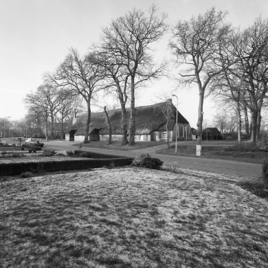 Rijksdienst voor het Cultureel Erfgoed: Heins, IJ.Th.