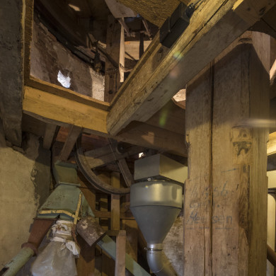 Rijksdienst voor het Cultureel Erfgoed: Scagliola, Daria