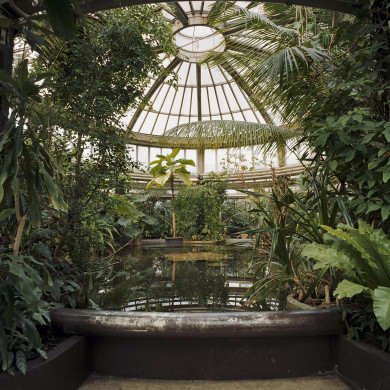 Rijksdienst voor het Cultureel Erfgoed: Wal, A.J. van der