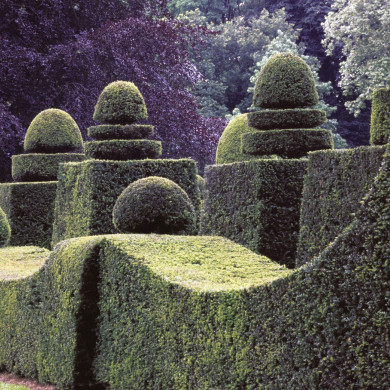 Rijksdienst voor het Cultureel Erfgoed: Heuff M. (Marijke)