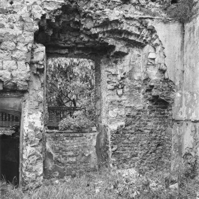 Rijksdienst voor het Cultureel Erfgoed: Delemarre, G.Th.