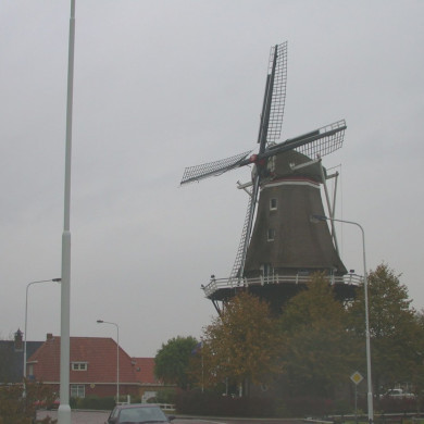 Rijksdienst voor het Cultureel Erfgoed: Terpstra, Frank