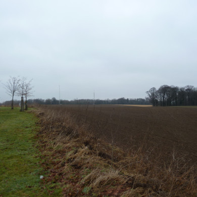 Rijksdienst voor het Cultureel Erfgoed: Lensvelt, Natascha