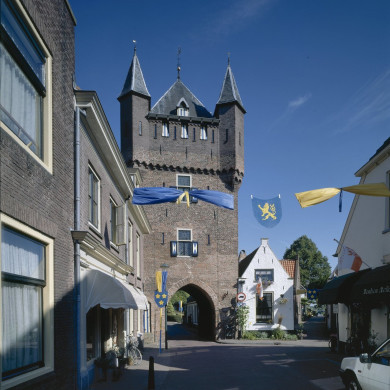 Rijksdienst voor het Cultureel Erfgoed: Heins, IJ.Th.