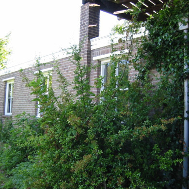 Rijksdienst voor het Cultureel Erfgoed: Terpstra, Frank