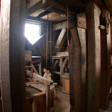 Rijksdienst voor het Cultureel Erfgoed: Terpstra, Frank