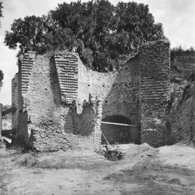 Rijksdienst voor het Cultureel Erfgoed: Delemarre, G.Th.