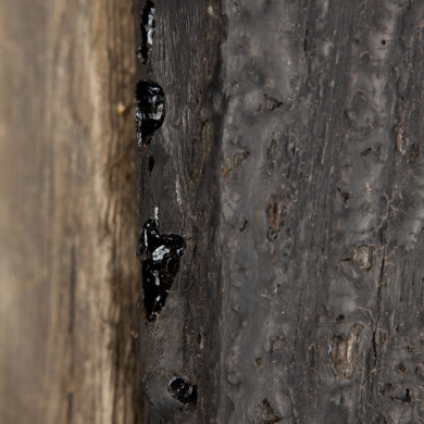 Rijksdienst voor het Cultureel Erfgoed: Roderburg, K. (Kris)