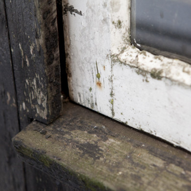 Rijksdienst voor het Cultureel Erfgoed: Roderburg, K. (Kris)