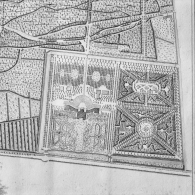 Rijksdienst voor het Cultureel Erfgoed: Rozema, J.