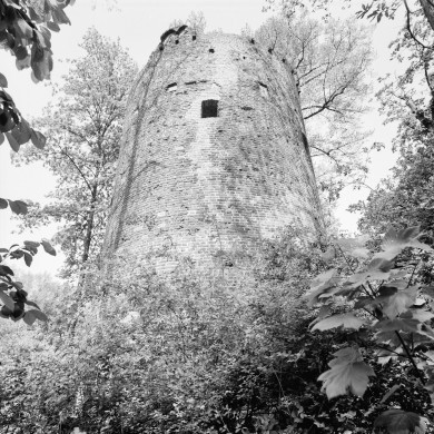 Rijksdienst voor het Cultureel Erfgoed: Galen, P. (Paul) van