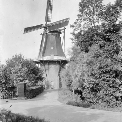 Rijksdienst voor het Cultureel Erfgoed: Hemsing, W.A.