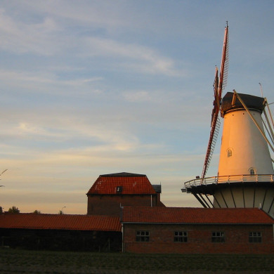 Rijksdienst voor het Cultureel Erfgoed: Terpstra, Frank